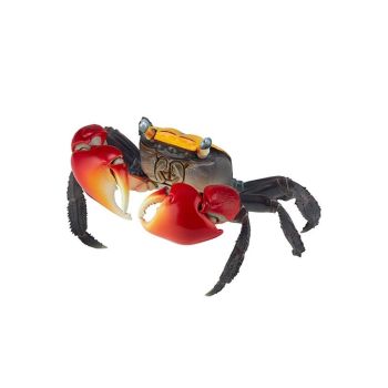 REVOLTECH GEO AKATEGANI RED, HANDED CRAB CHIROMANTES HAEMATOCHEIR 