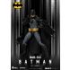 DC Comics Batman