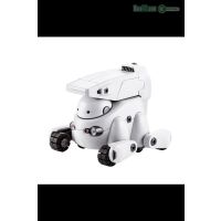 MARUTTOYS_TAMOTU PRO [Cool White Ver.] - Kotous Store
